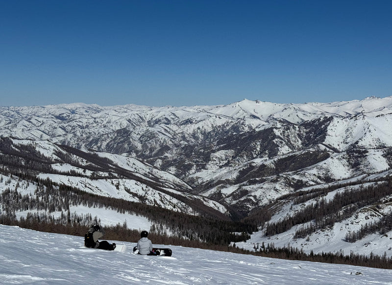 AI vs Human Snowboard Coach: Which Helps You Progress Faster?
